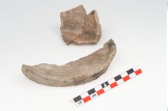 Foto von Keramikbecher (NHMW-PRAE-003517)